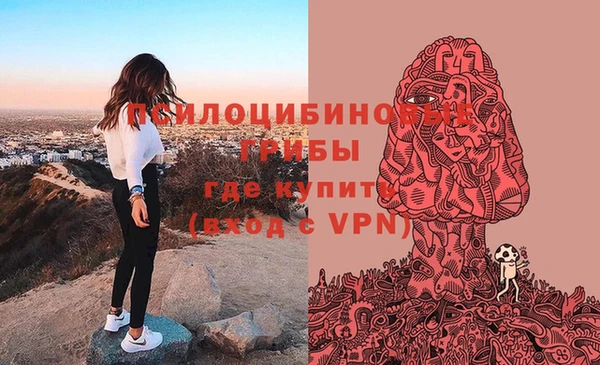 гашишное масло Новодвинск